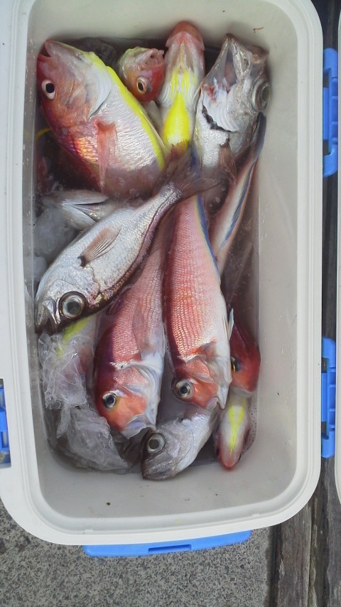 http://www.prefshizuoka.com/fishing/img/2014113014550000.jpg